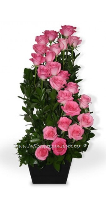San Valentin 028 /24rosas
$ 1290.00 pesos
