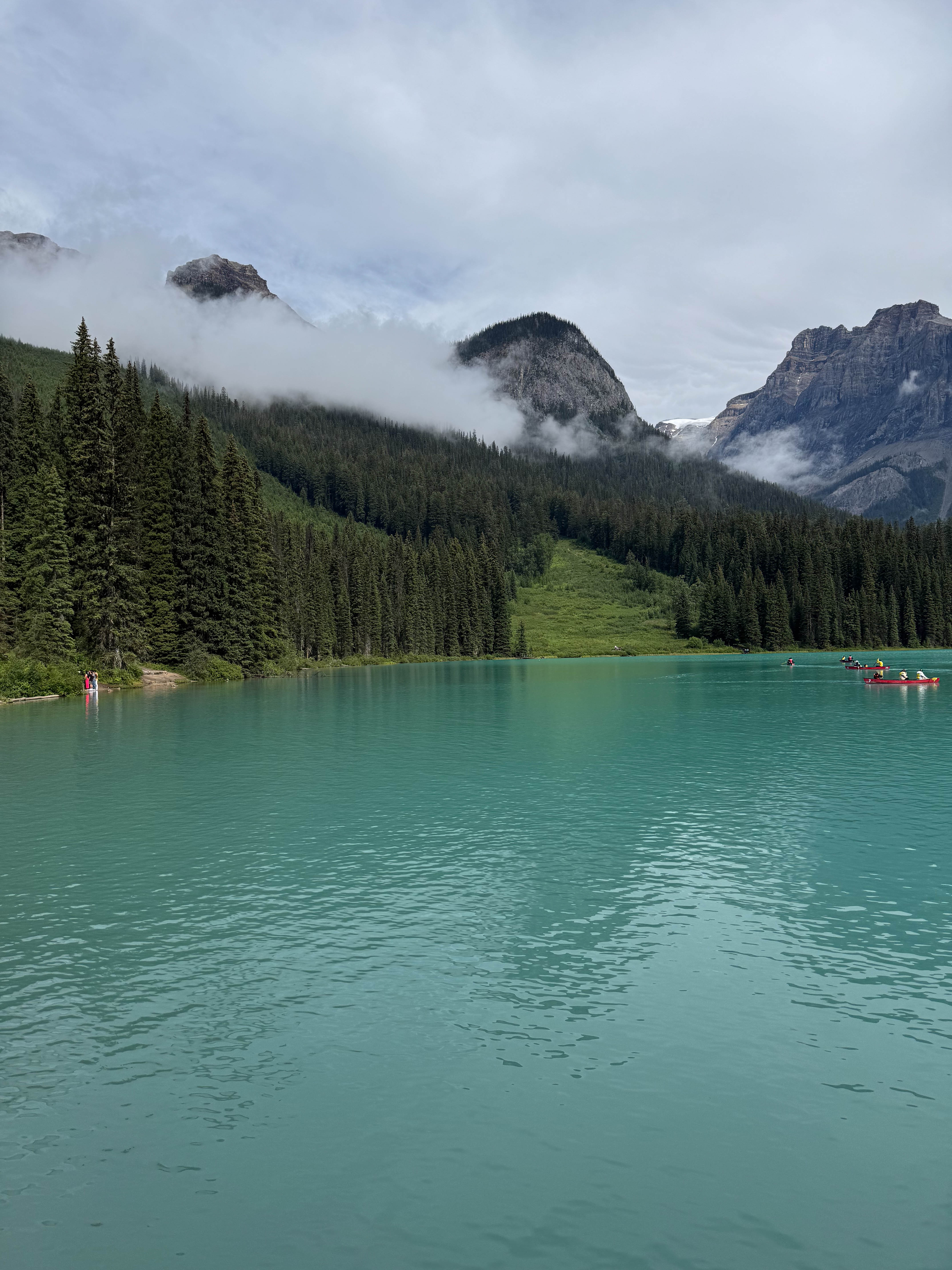 https://0201.nccdn.net/4_2/000/000/053/0e8/calgary-order-48.jpg