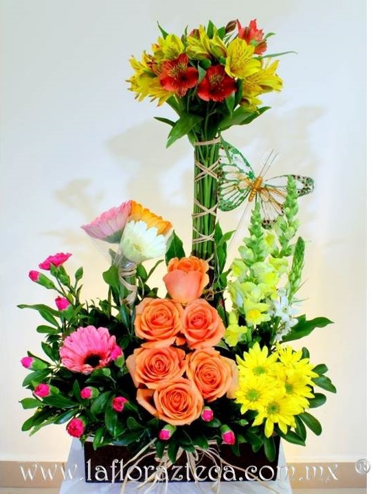 LFA-308
Precio $1050