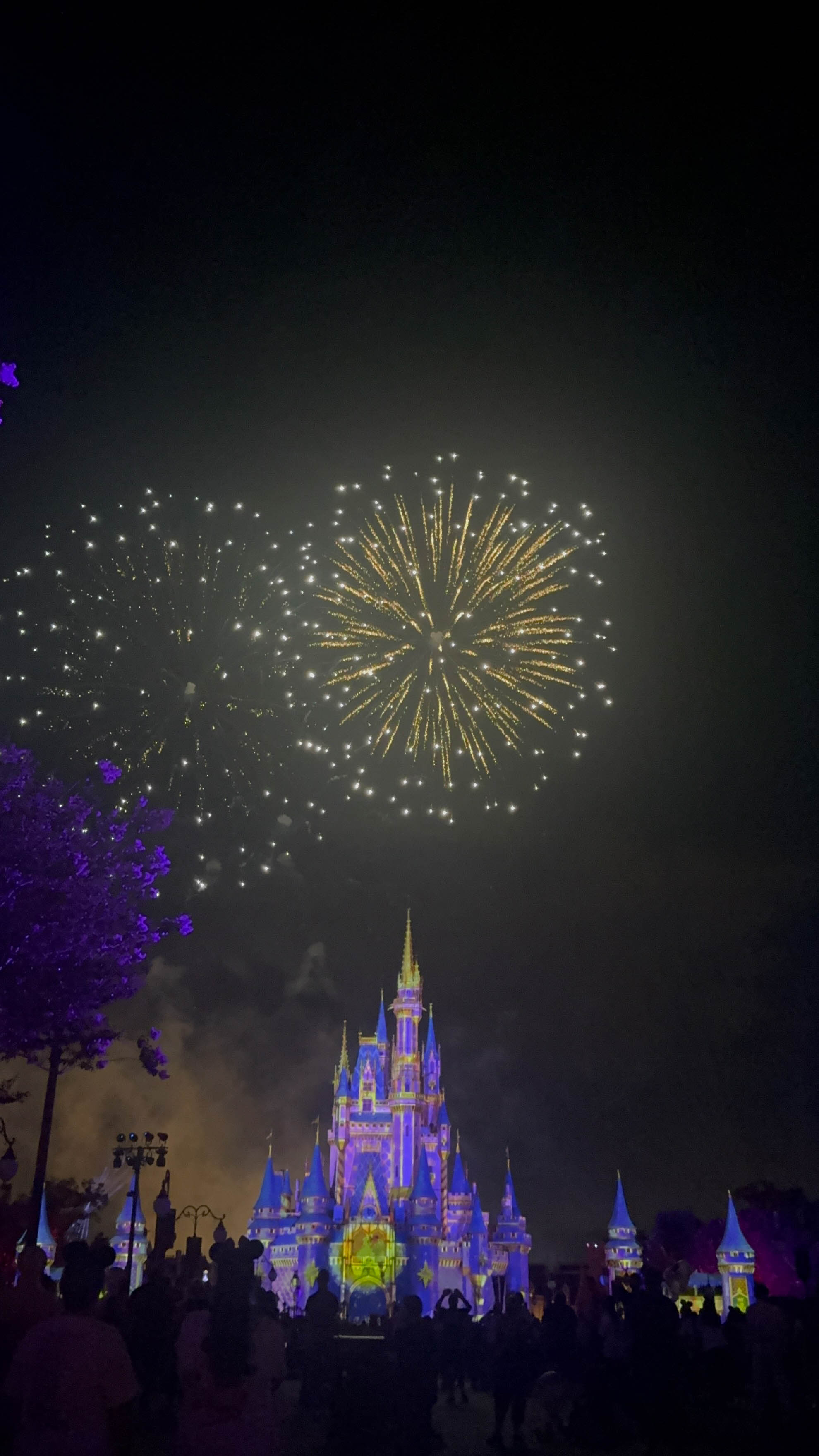 https://0201.nccdn.net/4_2/000/000/053/0e8/orlando-order-88.jpg