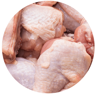 POLLO