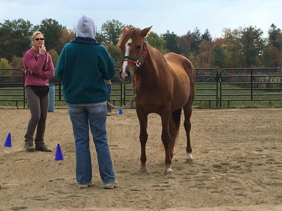 Discussing the methodology used in Natural Horsemanship a the Positive Way Fall Clinic 
