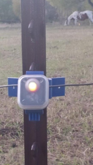 Farm Innovators INSL-1 Insulight Electric Fence Insulator with Live Monitor Fоur Paсk, Blue Blue 
