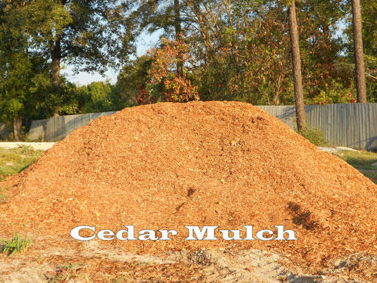 Cedar Mulch 