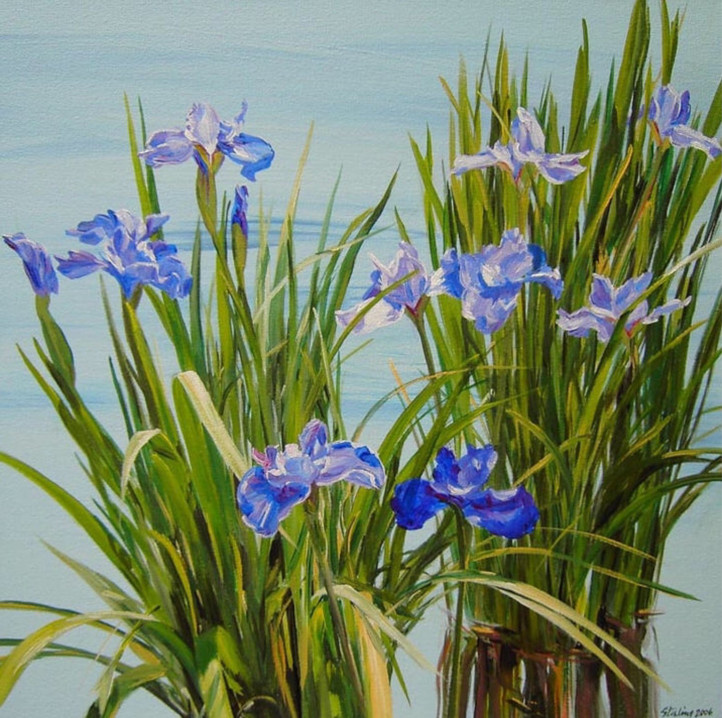 Siberian Iris 24x24
