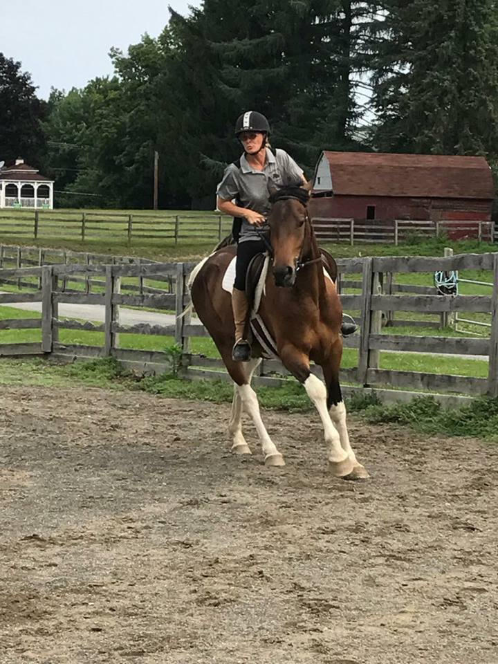 Aiden: A three year old spotted Oldenburg. Aiden came to Positive Way to go through the "Start Program". 