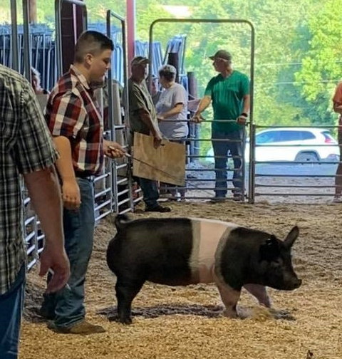Aubrey Paulk
2019 Smith County Fair
Weight Division Reserve Champion
Market Hog