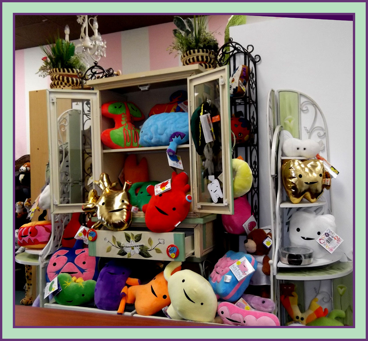 Star Tulip Stuffies Welcome