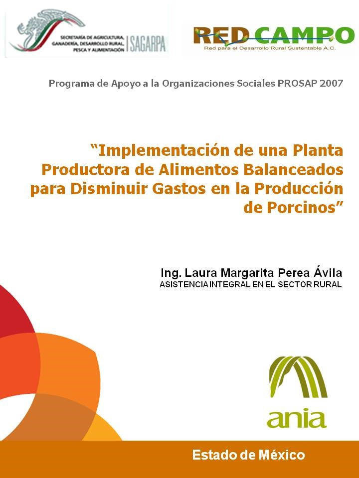 Implementación de una Planta Productora de Alimentos Balanceados para Disminuir Gastos en la Producción de Porcinos”, Estado de México