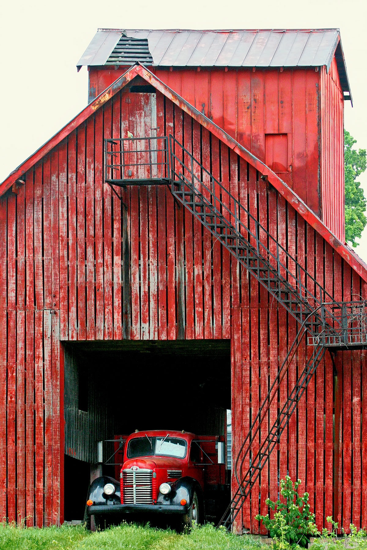 RED TRUCK - I use to pass this barn every day on the way to and from work, but it was always so cluttered around it you just couldn't get a good photo. Then one day this old red truck was there, and that  made  the  shot. I haven't seen the truck since!