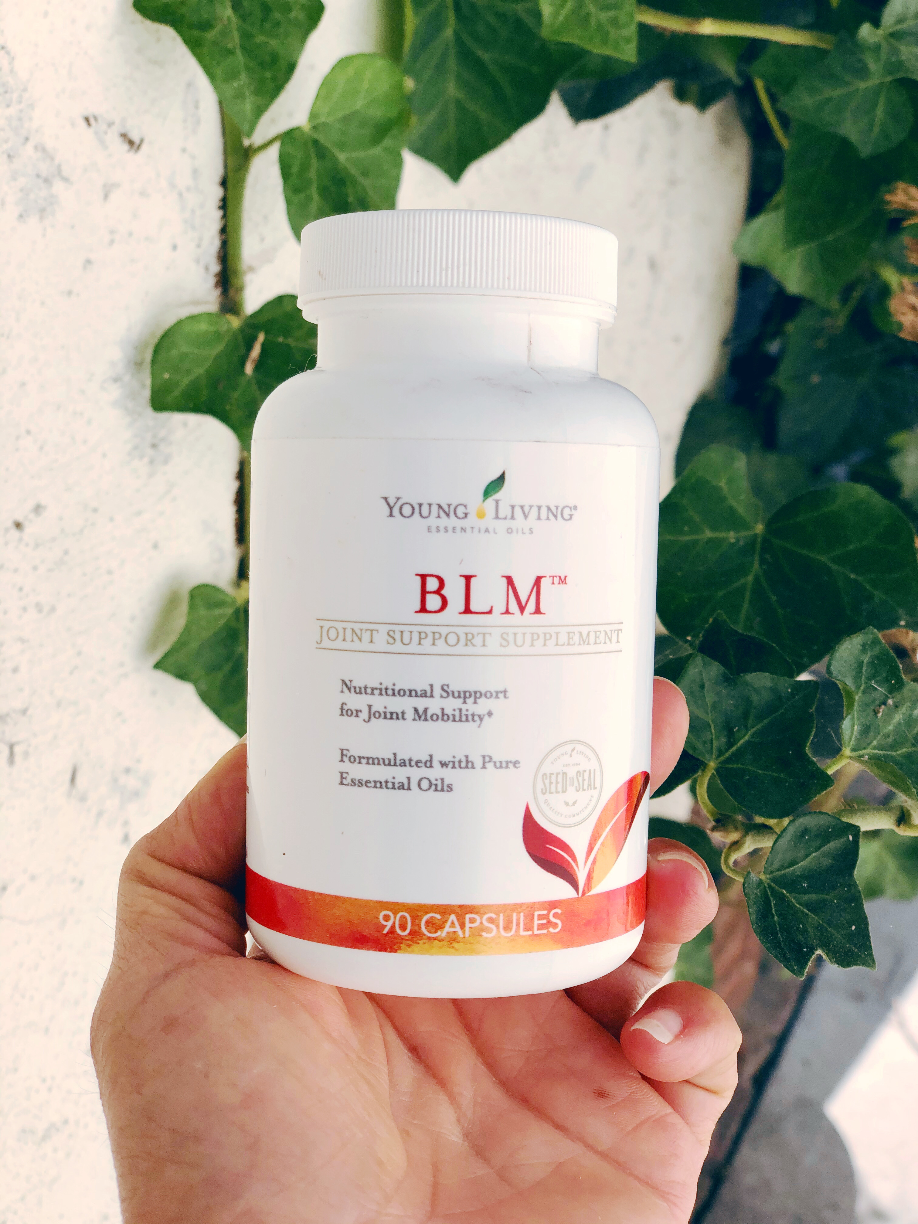 Bone, ligaments & muscle support