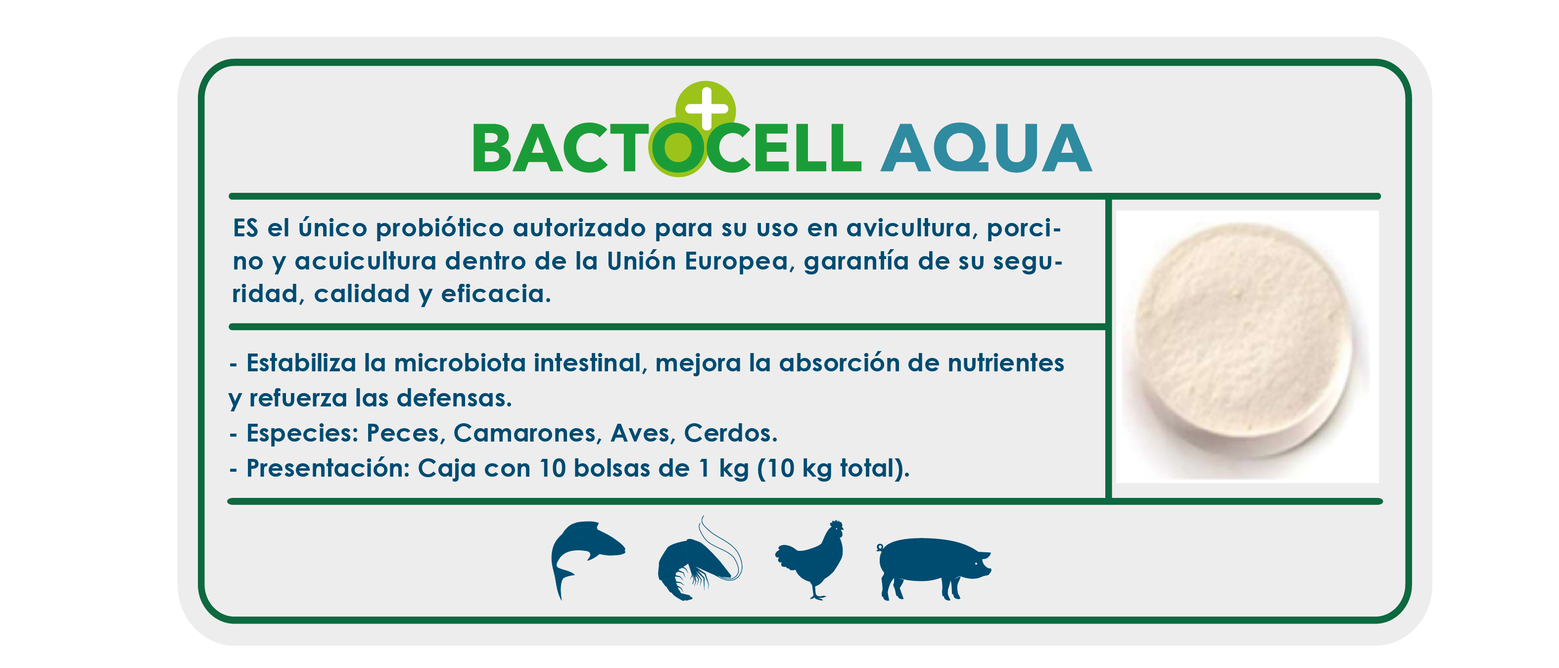 https://0201.nccdn.net/4_2/000/000/056/7dc/ficha_ecommerce-14.png