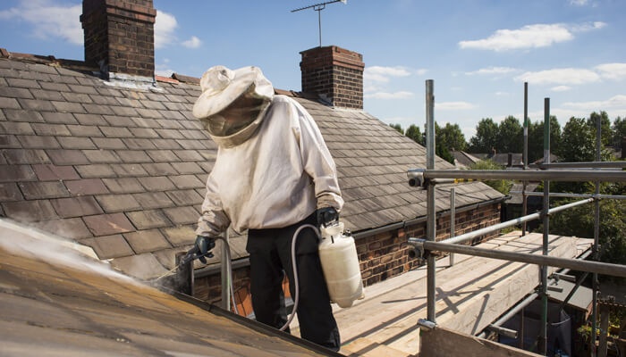 FUMICABOS - Serpientes