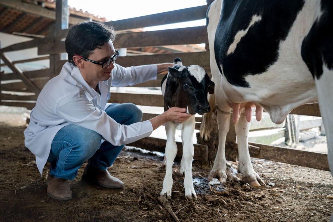 Fondo de Aseguramiento UGR/Unión Ganadera Regional - Guías y Certificaciones