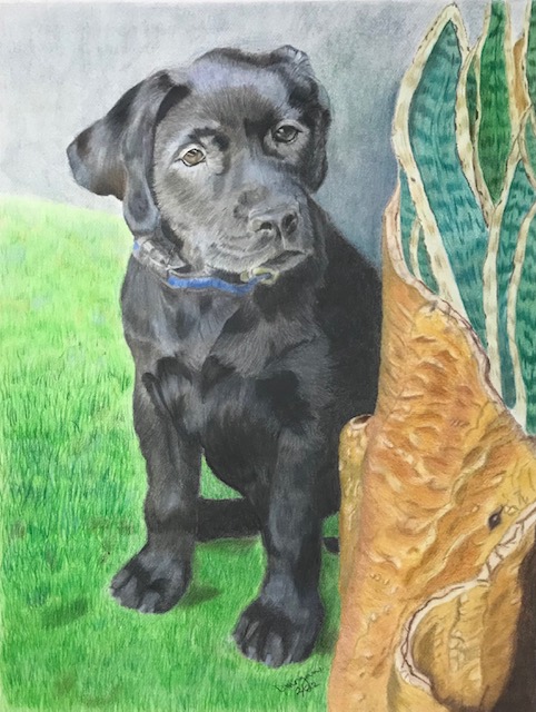 "Goose"
12 x 9
Hot Press Watercolor & OMS