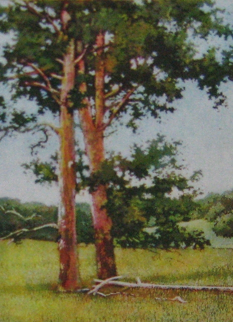 Hegler, Two of a Kind, 4" x 3" Aquatint