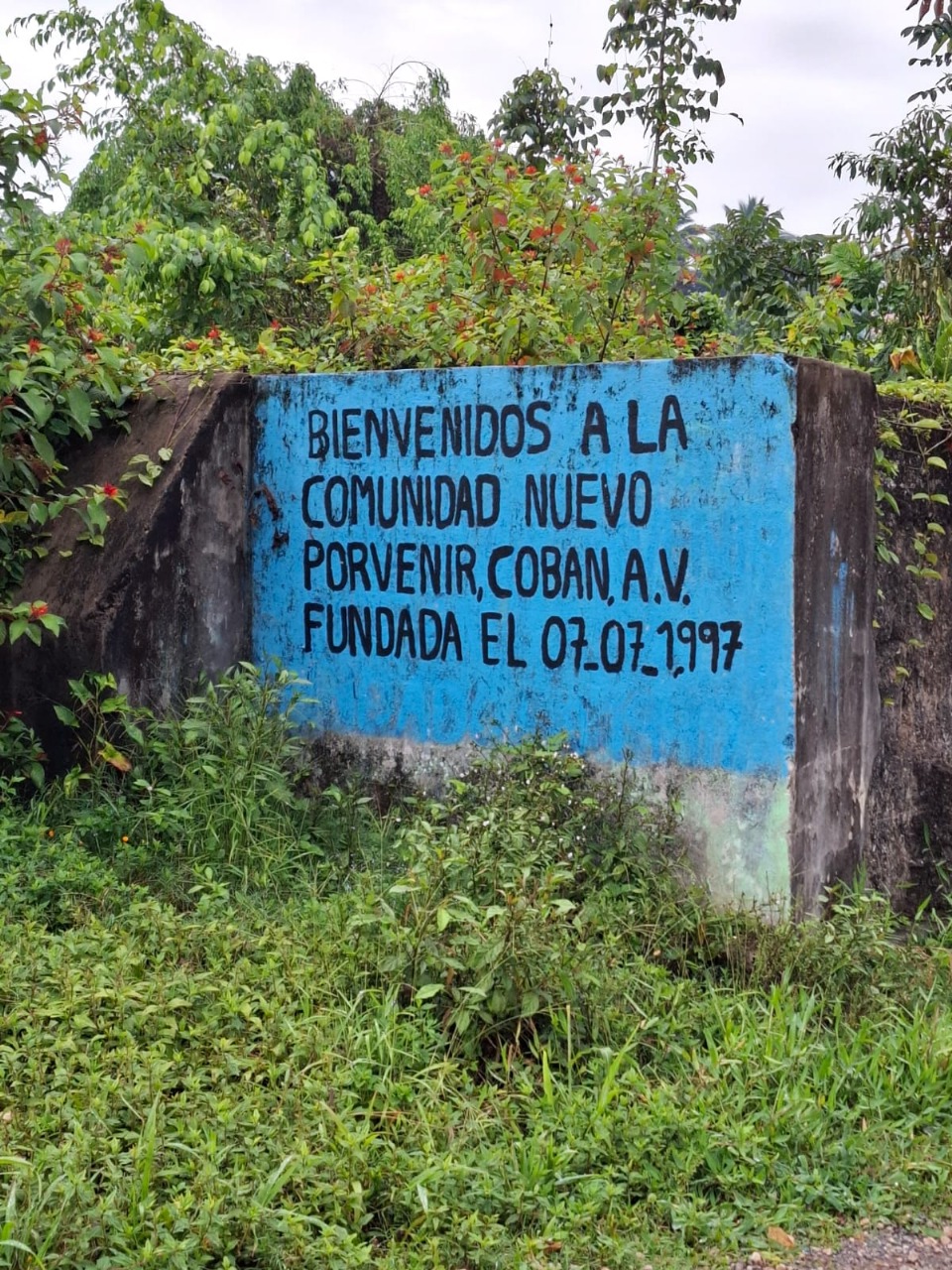 https://0201.nccdn.net/4_2/000/000/056/7dc/imagen-de-whatsapp-2025-09-18-a-las-10.50.11_1e4481e3.jpg