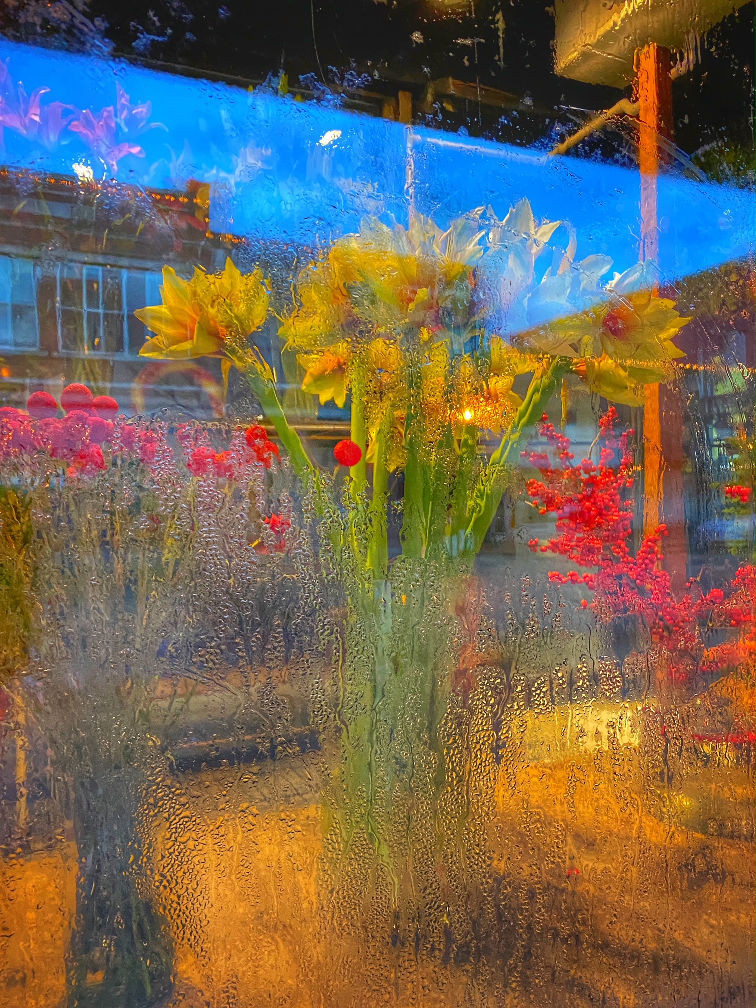 Flower Shop Window
Photography
8" X 10"
$95.