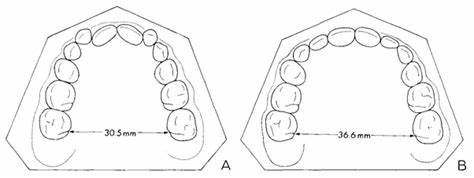 https://0201.nccdn.net/4_2/000/000/056/7dc/modelo.jpg
