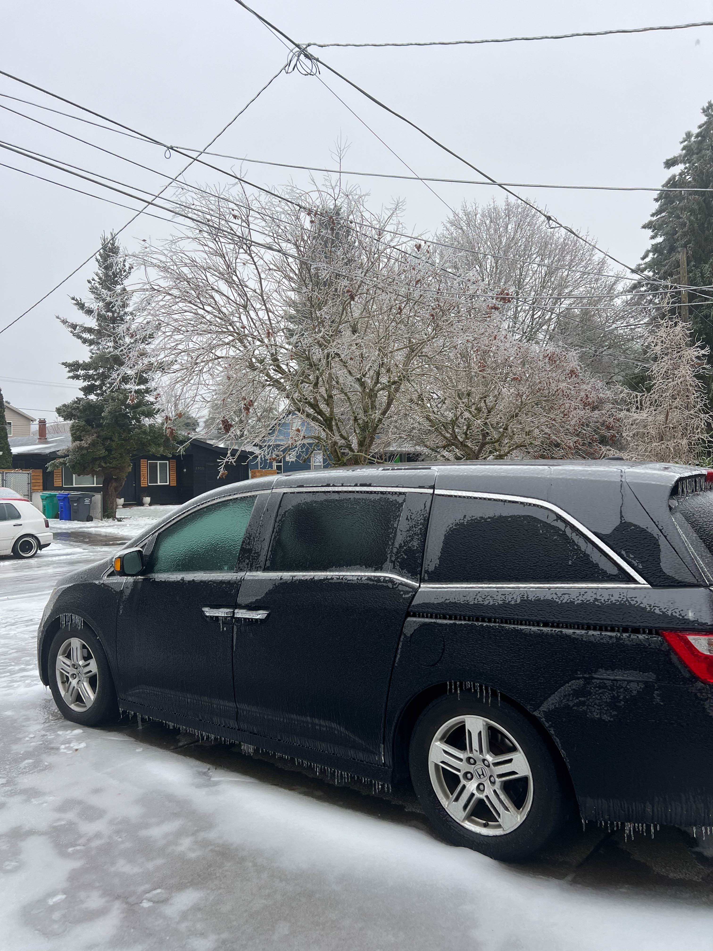 https://0201.nccdn.net/4_2/000/000/056/7dc/portland-order-8.jpg