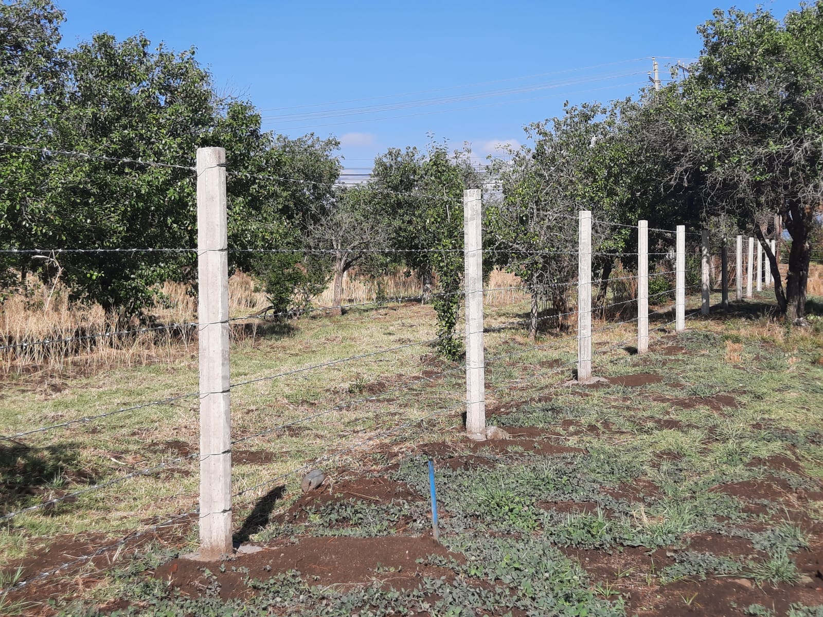 Аttic with armchairs on a wooden floor