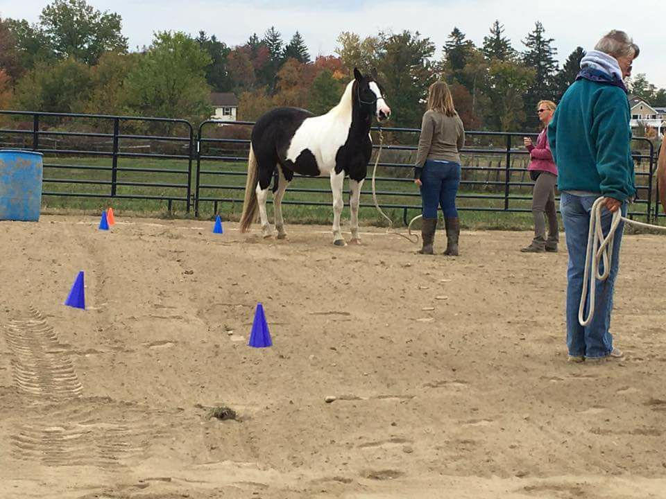 Positive Way Fall Clinic (2016)