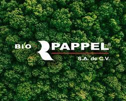BIO PAPPEL SA DE CV