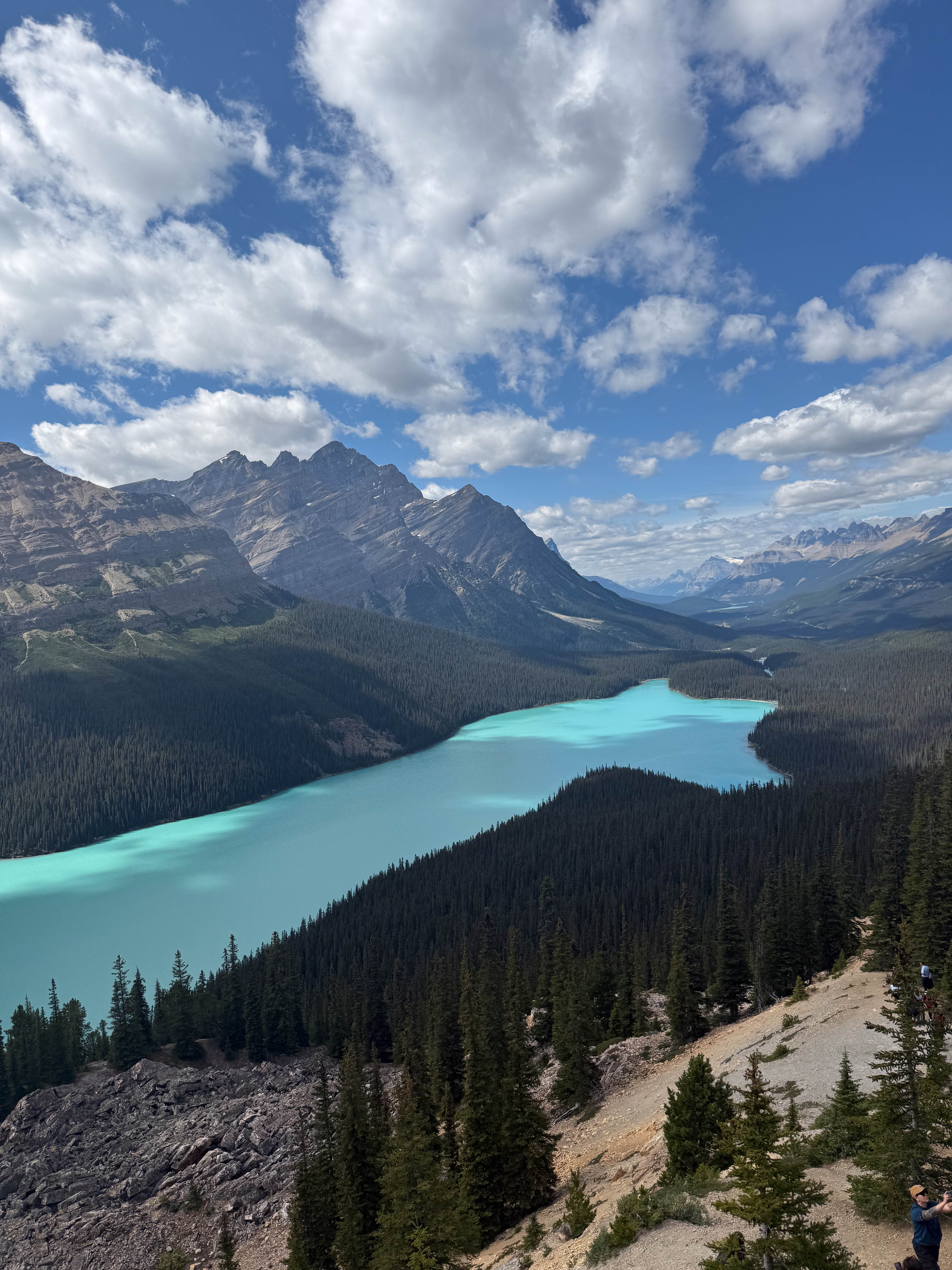 https://0201.nccdn.net/4_2/000/000/057/fca/calgary-order-210.jpg