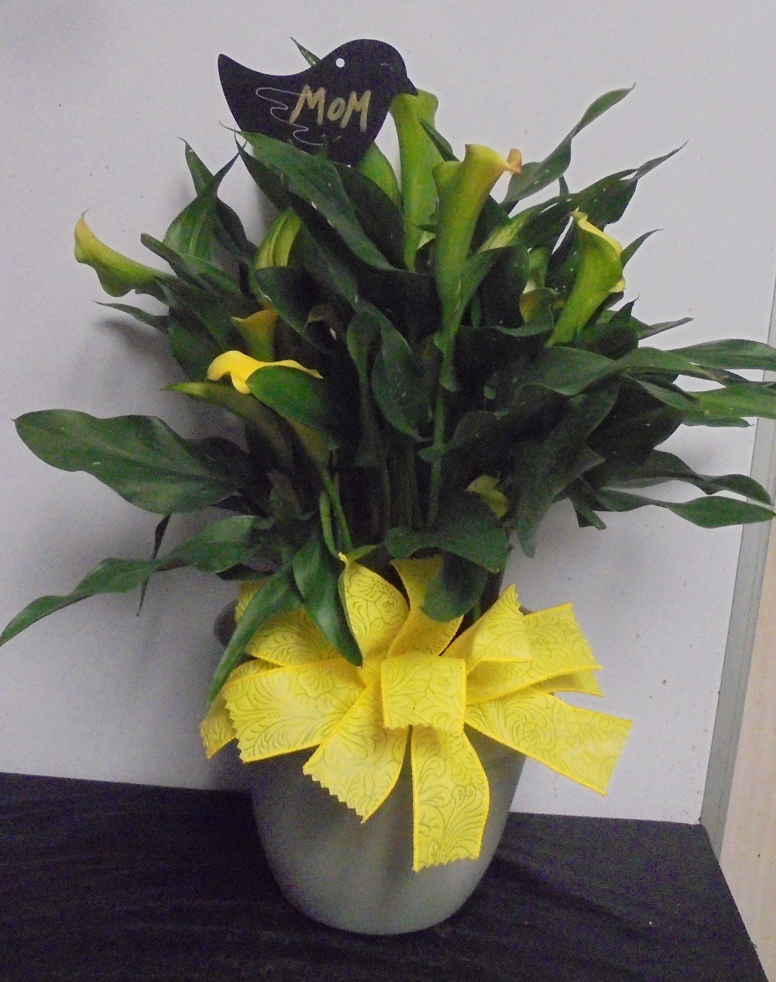 (SORRY SOLD!!)
(31C)  "Yellow" Calla Lily Plant
$45.00