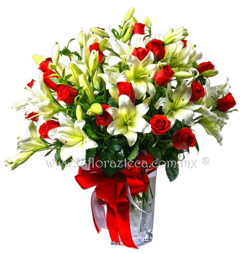 San Valentin 047
$ 2,990.00 pesos