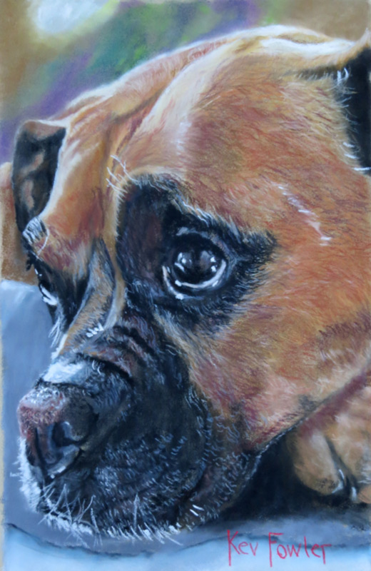 Nala - Commissioned for USA
