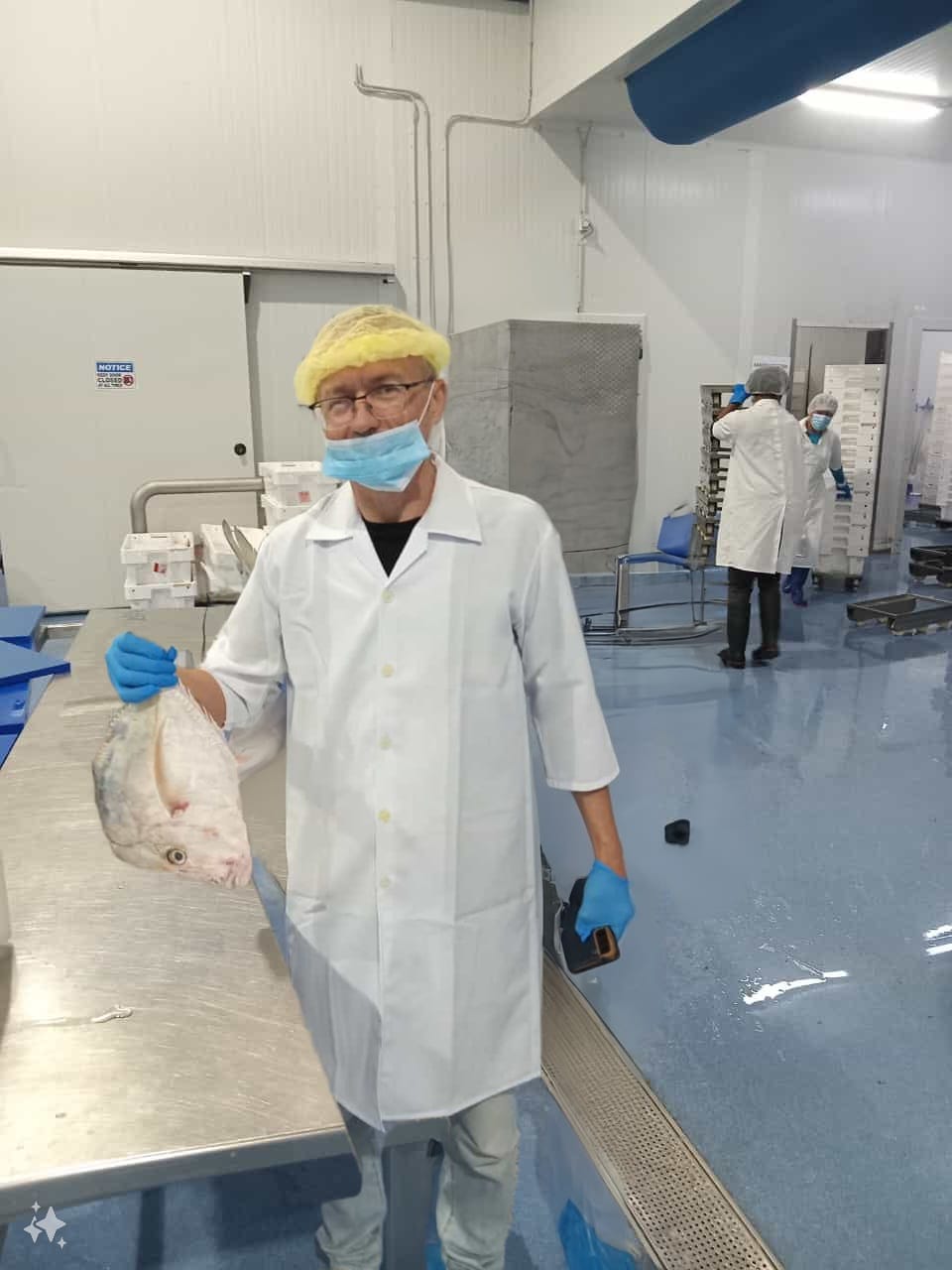 shallow focus photography of seafoods