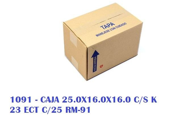 CAJA RM-91 25.0X16.0X16.0 cm
