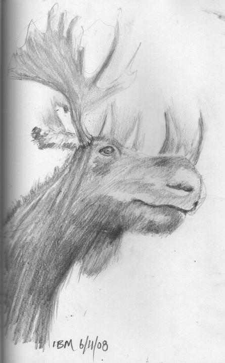 ©Moose ibm 6-11-08
