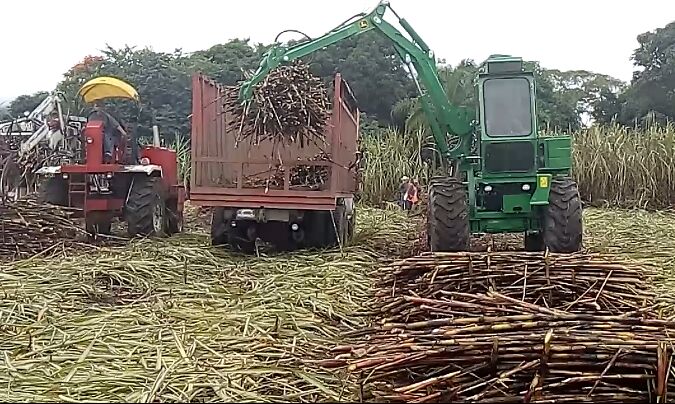 Unión Local de Productores de Caña de Azúcar CNC del Ingenio Alianza Popular A.C. - Transporte de Caña