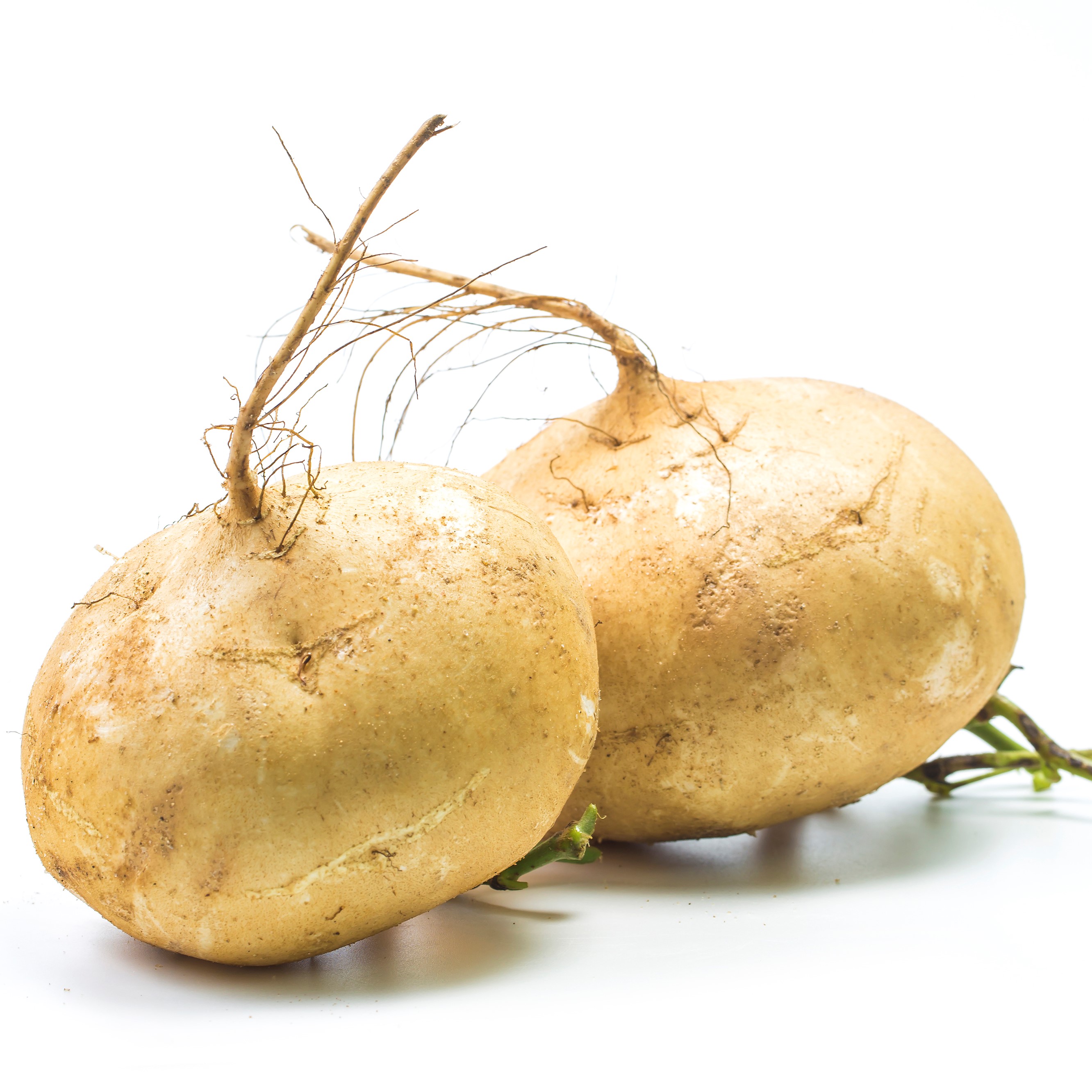 https://0201.nccdn.net/4_2/000/000/058/442/jicama.jpg