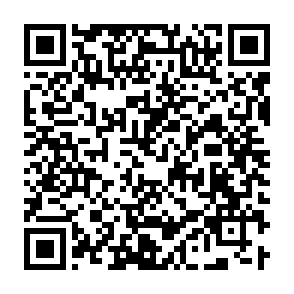 Imagen de logotipo de muestra