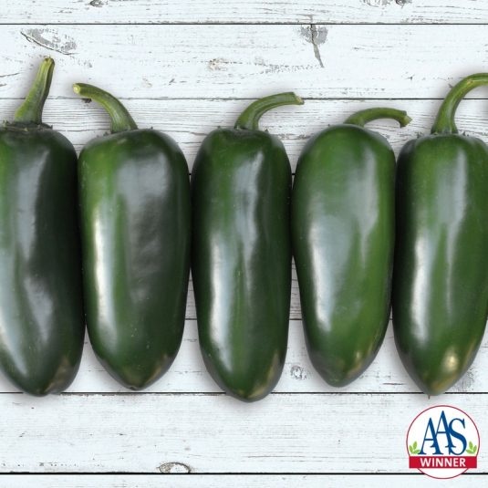 Pepper Emerald Fire X3R® Pepper Emerald Fire X3R®