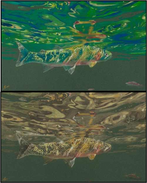 The Tale of Two Fish