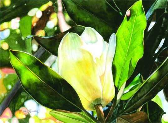 Dimensión: 45 x 65 cms.