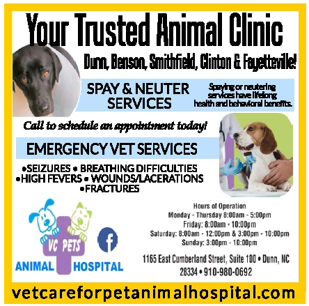 https://0201.nccdn.net/4_2/000/000/058/ad8/vet-care-for-pets.jpg