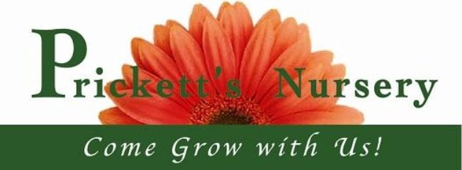 Prickett's Nursery