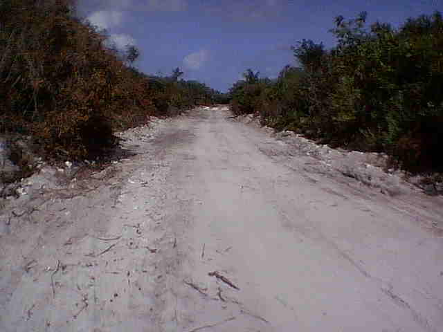 cedride inmobiliaria - LOTES FRENTE EL MAR CARIBE
