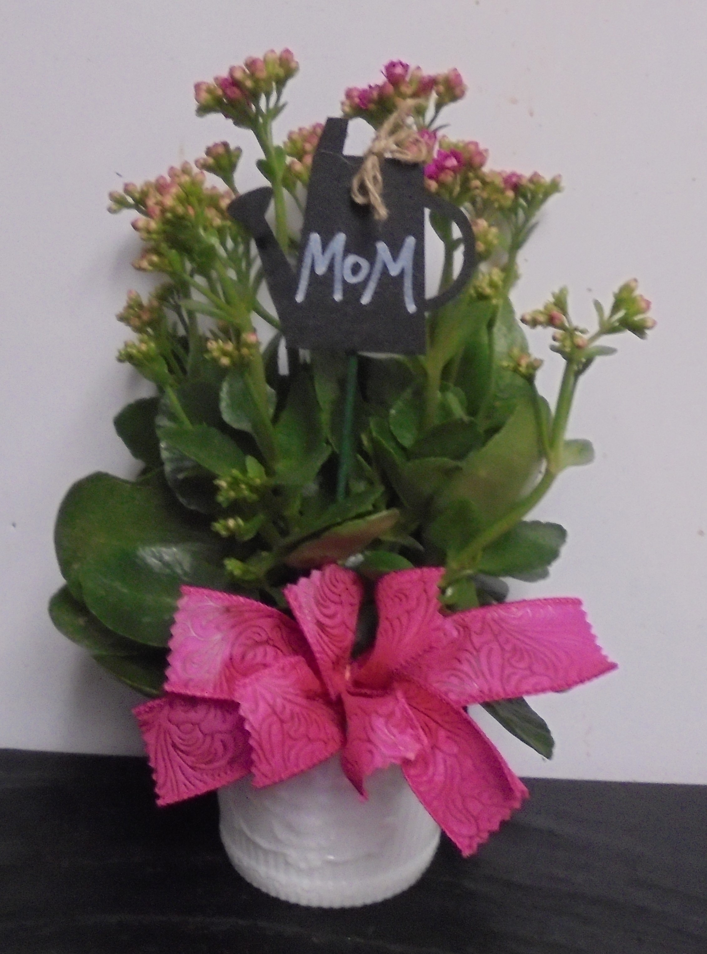 (21A)  "Pink" Kalanchoe Plant
In "Vintage" Milk Glass Bowl
$35.00