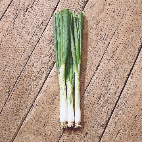 Onion Ramrod Onion Ramrod