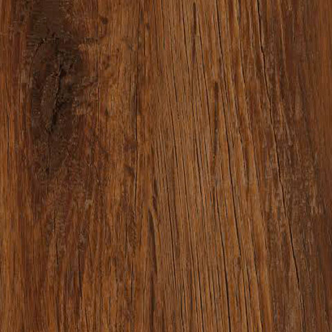 GOLDEN OAK 
TS4PS7-4898