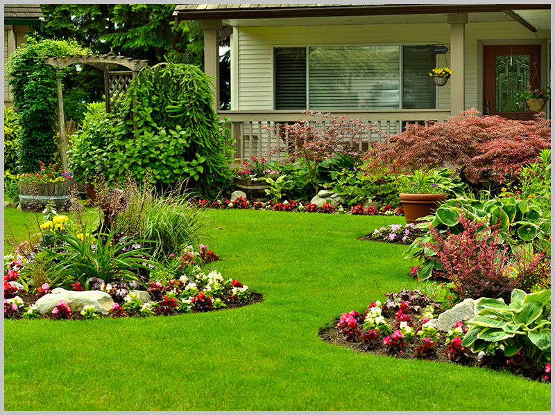 Flower garden and residential yard||||