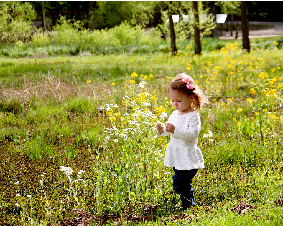Young girl picking flowers