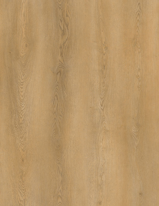 JASPER 
TS-SPC6.5-A0224