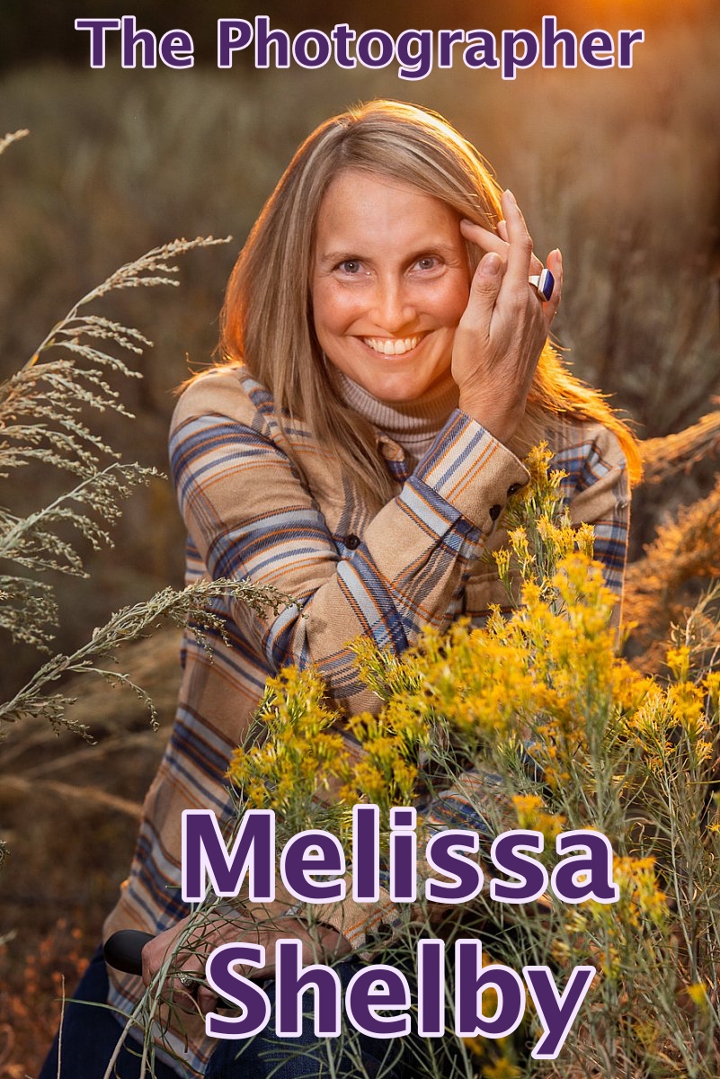 Artist's Website Evolution - Part II